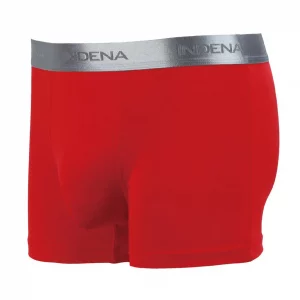  INDENA 45336 
