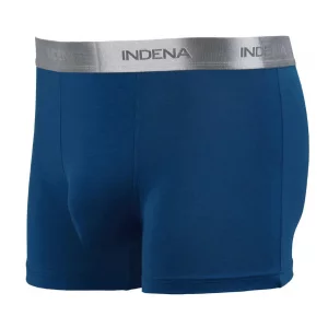  INDENA 45336 