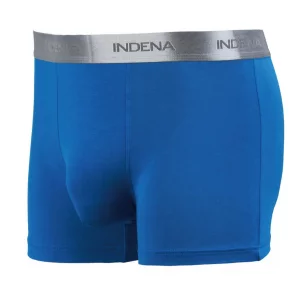  INDENA 45336 