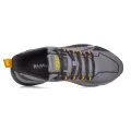 BAAS L1751