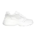 PLPS PESM 0062