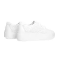 PLPS PESM 0071