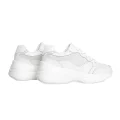 PLPS PESM 0062