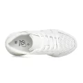 PLPS PESM 0061